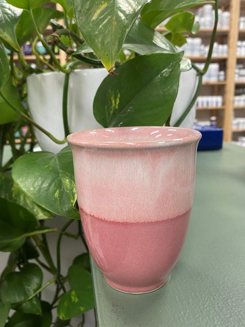 Pottery for the Planet Ceramic Travel Mug with Silicon Lid